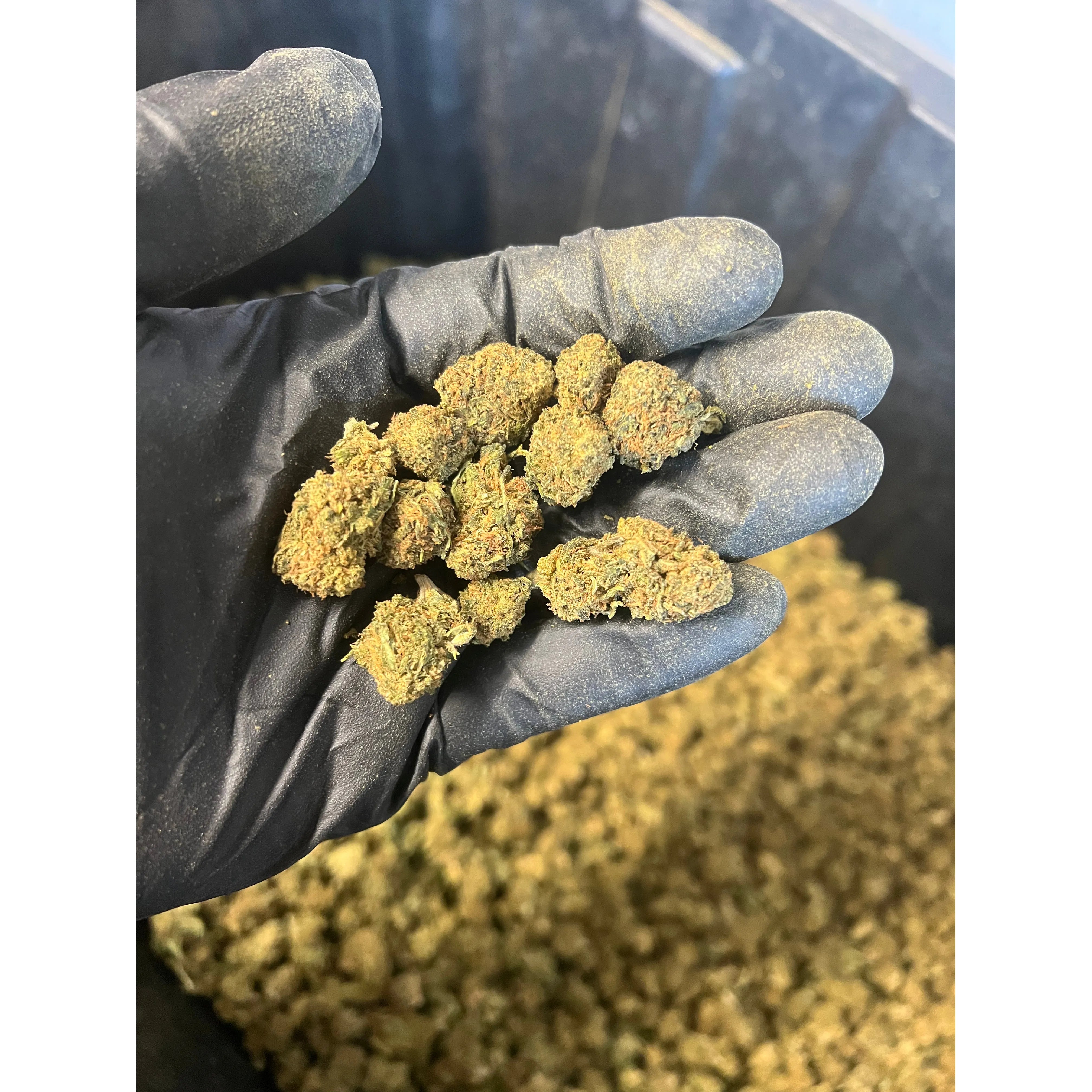 Lemon Cake Hemp Flower Smalls